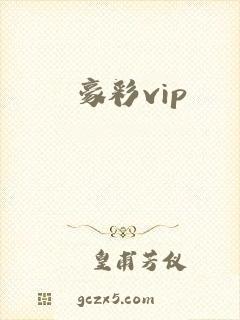 豪彩vip